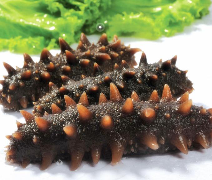 海参礼盒-淄博礼品店