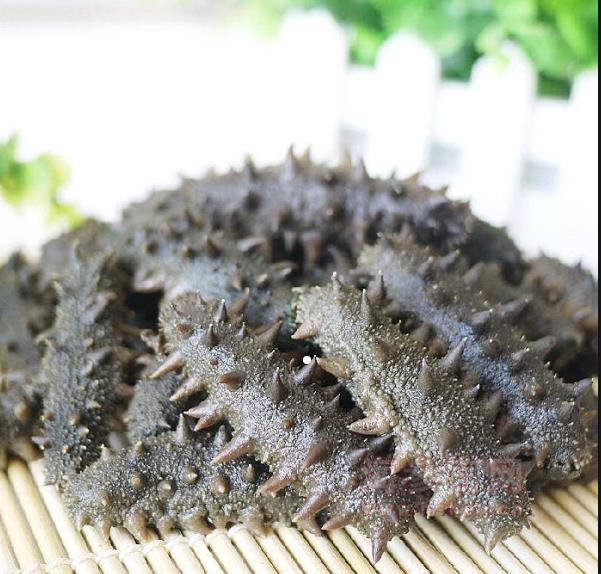 干制海参-淄博礼品店-淄博海参