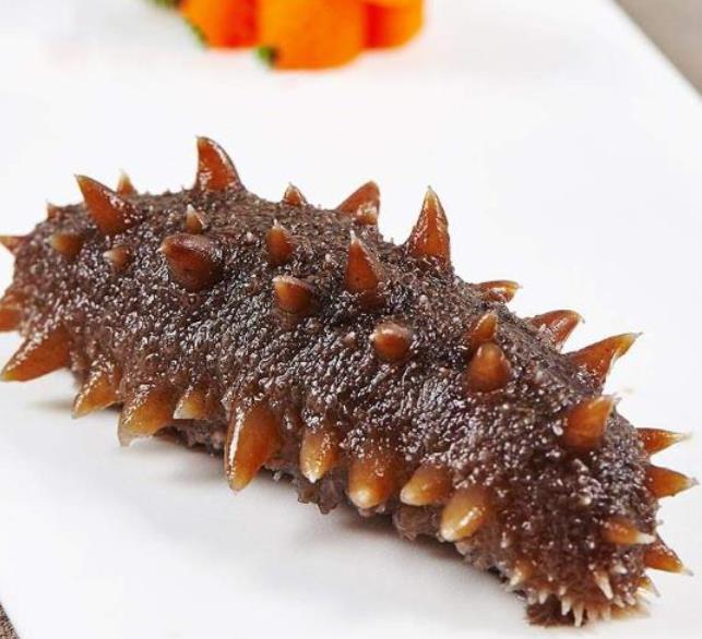 即食海参-淄博海参专卖店