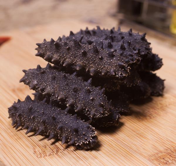 大连海参-淄博大连海参