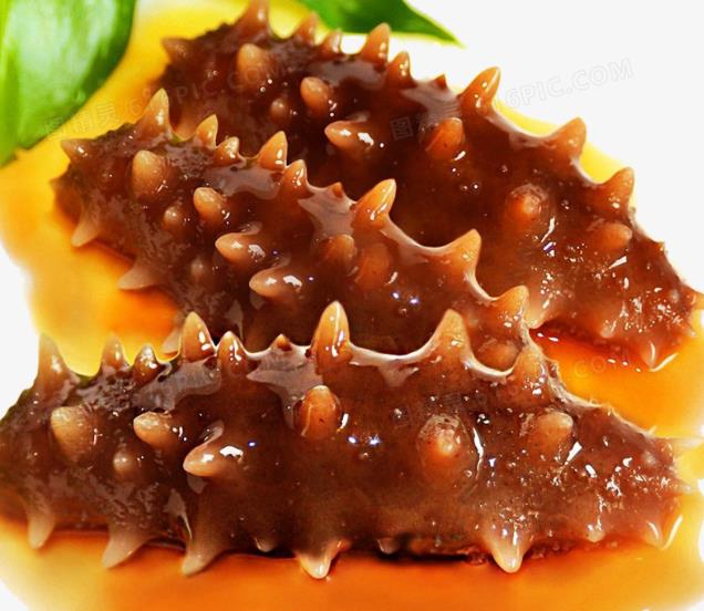 海参高营养低价格养生就选正宗野生海参