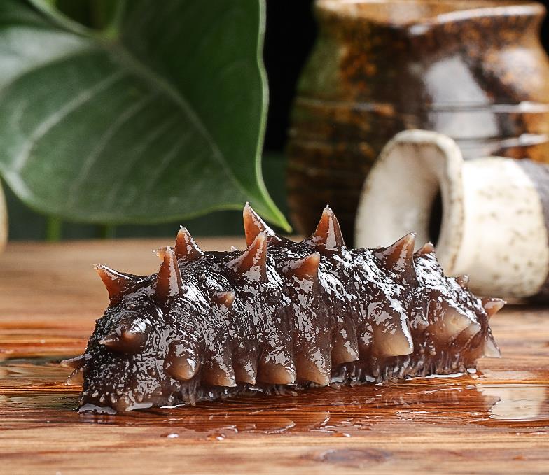 淄博海参专卖店大连海参