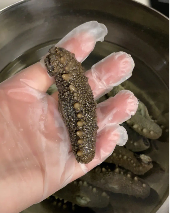 海参含有哪些矿物质？